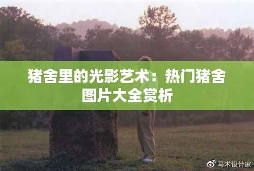 猪舍里的光影艺术：热门猪舍图片大全赏析