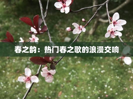 春之韵：热门春之歌的浪漫交响
