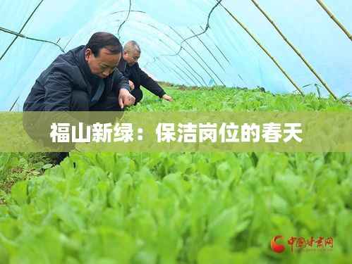 福山新绿：保洁岗位的春天