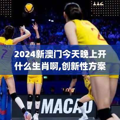 2024新澳门今天晚上开什么生肖啊,创新性方案设计_CT8.200