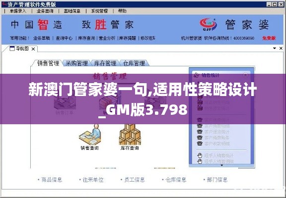 新澳门管家婆一句,适用性策略设计_GM版3.798