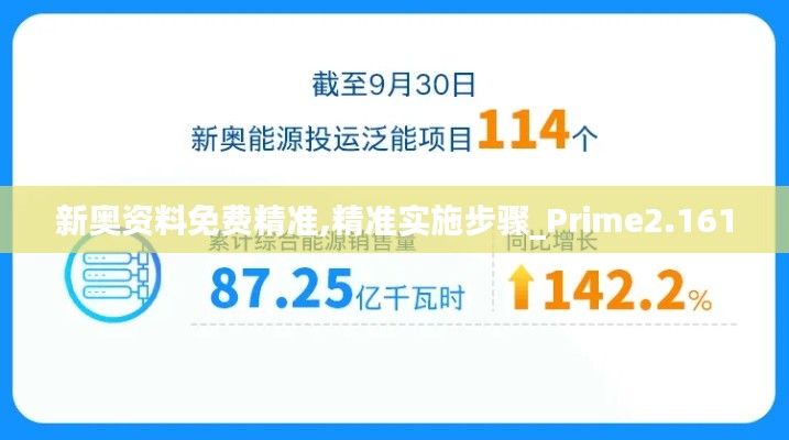 新奥资料免费精准,精准实施步骤_Prime2.161