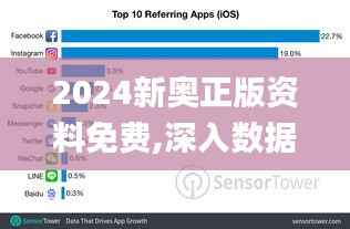 2024新奥正版资料免费,深入数据策略设计_尊享版8.965