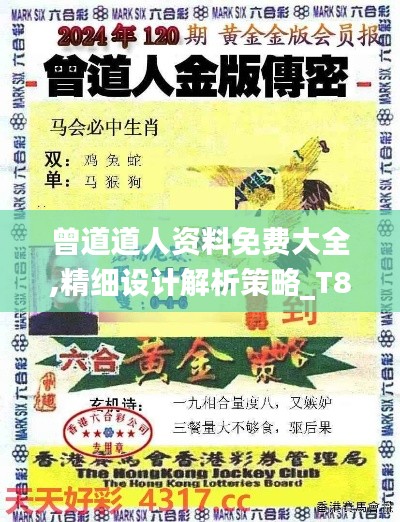 曾道道人资料免费大全,精细设计解析策略_T8.217