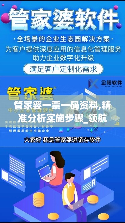 管家婆一票一码资料,精准分析实施步骤_领航款4.640