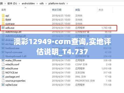澳彩12949·cσm查询,实地评估说明_T4.737