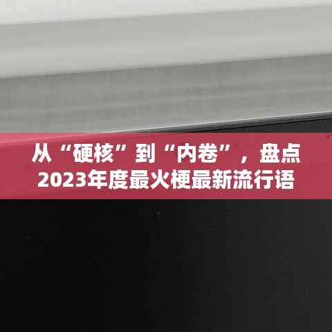 从“硬核”到“内卷”，盘点2023年度最火梗最新流行语