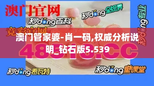 澳门管家婆-肖一码,权威分析说明_钻石版5.539