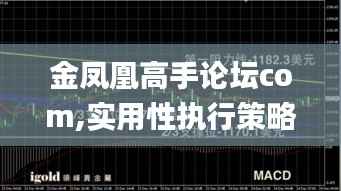 金凤凰高手论坛com,实用性执行策略讲解_静态版3.133