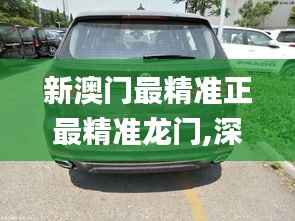 新澳门最精准正最精准龙门,深度解析数据应用_桌面版8.944