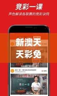 新澳天天彩免费资料大全查询,整体执行讲解_Phablet1.915