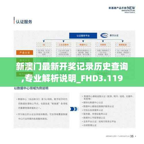 新澳门最新开奖记录历史查询,专业解析说明_FHD3.119