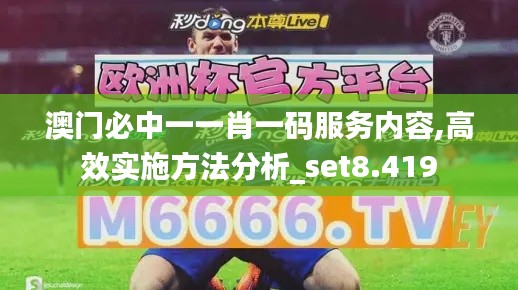 澳门必中一一肖一码服务内容,高效实施方法分析_set8.419
