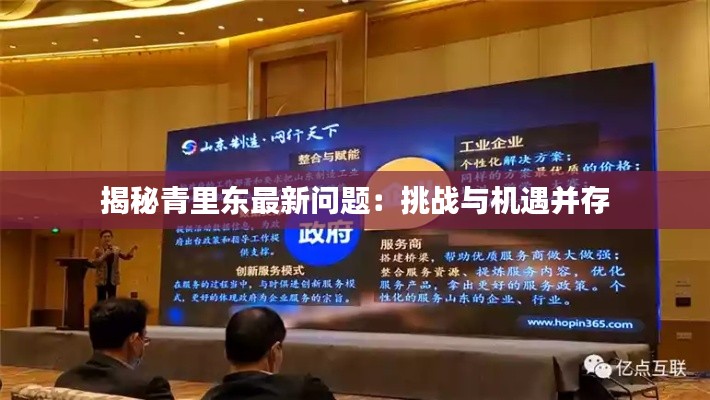 揭秘青里东最新问题：挑战与机遇并存