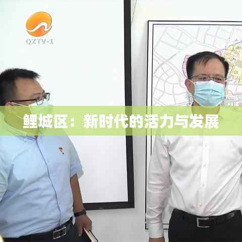 鲤城区：新时代的活力与发展