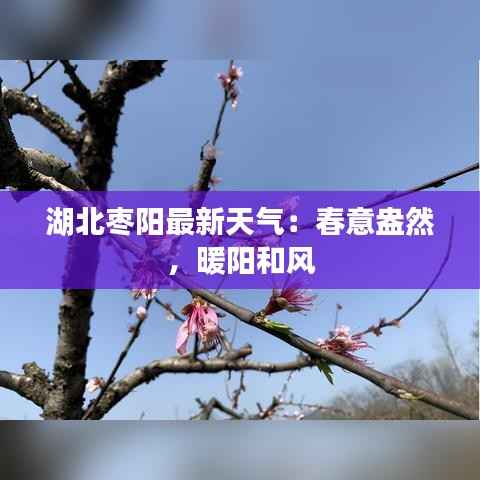 湖北枣阳最新天气:春意盎然,暖阳和风