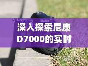 深入探索尼康D7000的实时取景功能：摄影新体验