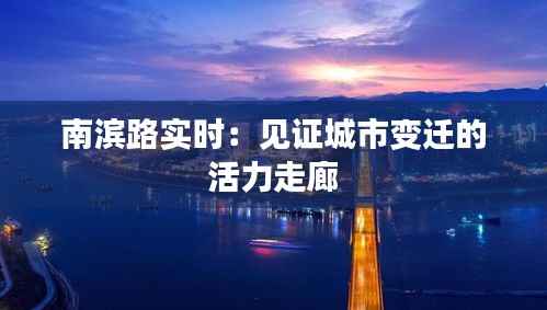 南滨路实时：见证城市变迁的活力走廊