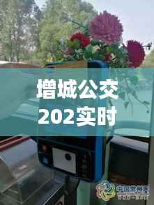增城公交202实时:便捷出行,智慧生活的缩影