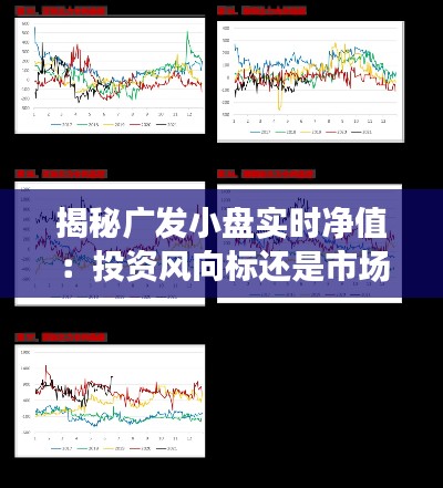 揭秘广发小盘实时净值：投资风向标还是市场波动？