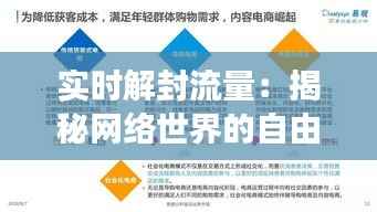 实时解封流量：揭秘网络世界的自由畅游