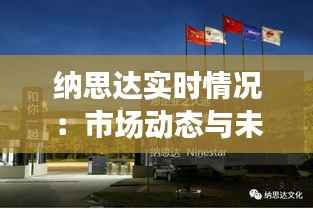 纳思达实时情况:市场动态与未来展望