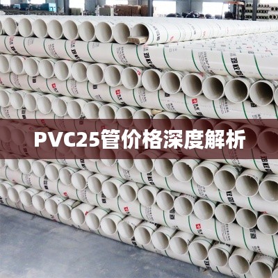 PVC25管价格深度解析