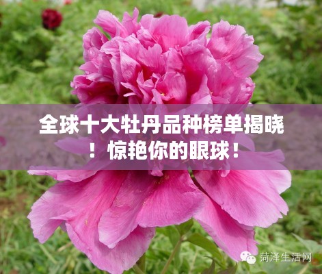 饭来张口 第3页