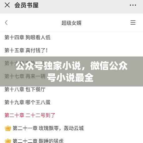 公众号独家小说，微信公众号小说最全 