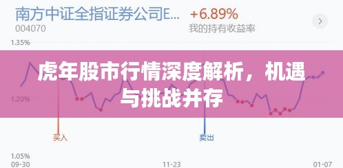 虎年股市行情深度解析,机遇与挑战并存