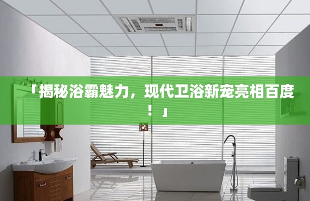 「揭秘浴霸魅力，现代卫浴新宠亮相百度！」