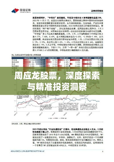 周应龙股票，深度探索与精准投资洞察