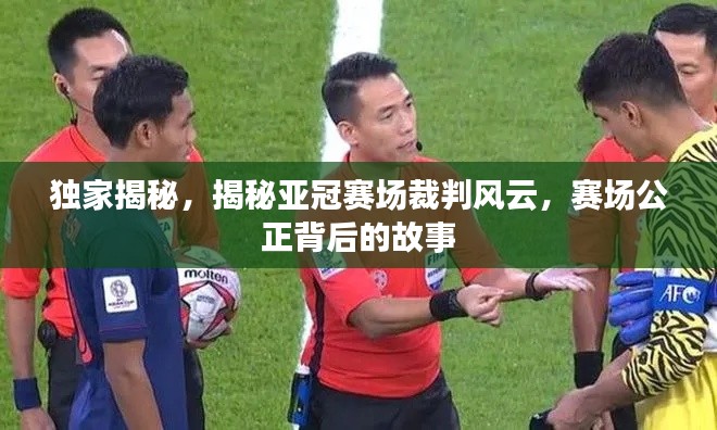 独家揭秘，揭秘亚冠赛场裁判风云，赛场公正背后的故事