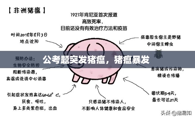 公考题突发猪瘟，猪瘟暴发 
