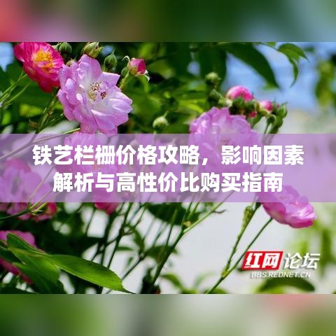 铁艺栏栅价格攻略,影响因素解析与高性价比购买指南