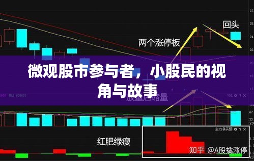 微观股市参与者,小股民的视角与故事