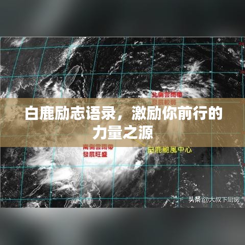 白鹿励志语录，激励你前行的力量之源