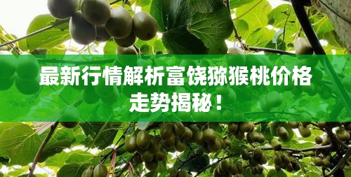 最新行情解析富饶猕猴桃价格走势揭秘!