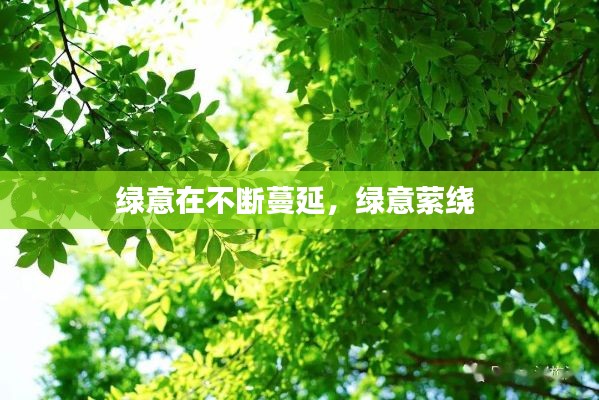 绿意在不断蔓延,绿意萦绕
