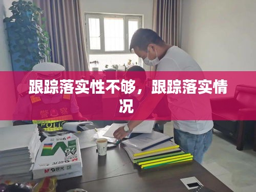 跟踪落实性不够,跟踪落实情况