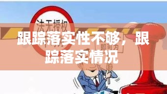 跟踪落实性不够,跟踪落实情况