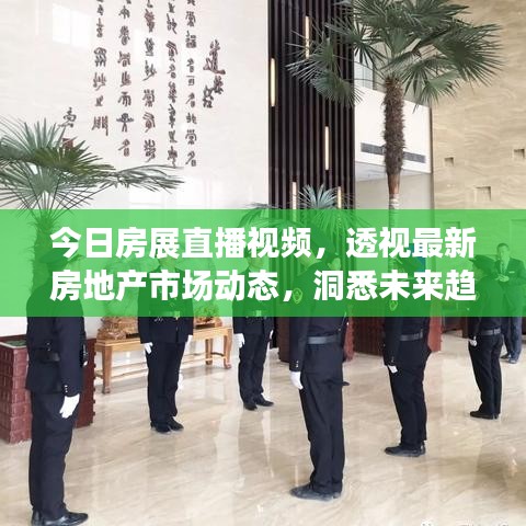 今日房展直播视频,透视最新房地产市场动态,洞悉未来趋势!