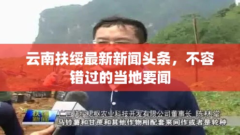 张张屈屈