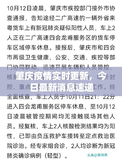 肇庆疫情实时更新，今日最新消息速递