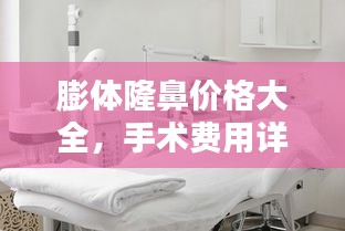 膨体隆鼻价格大全，手术费用详解及影响因素