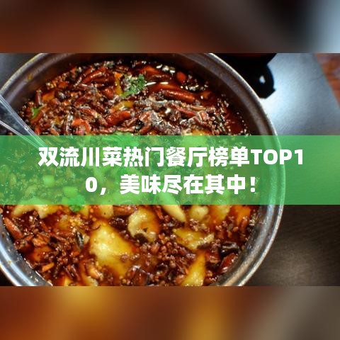 双流川菜热门餐厅榜单TOP10，美味尽在其中！